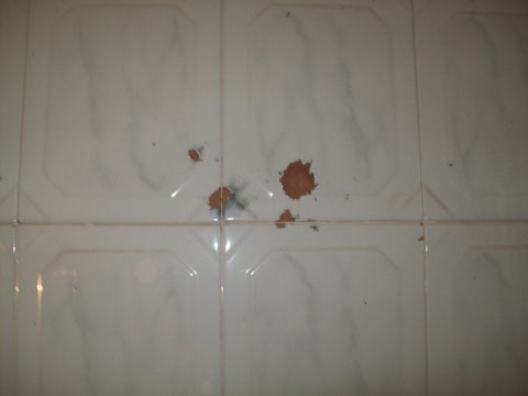 Bullet strikes to bathroom wall
